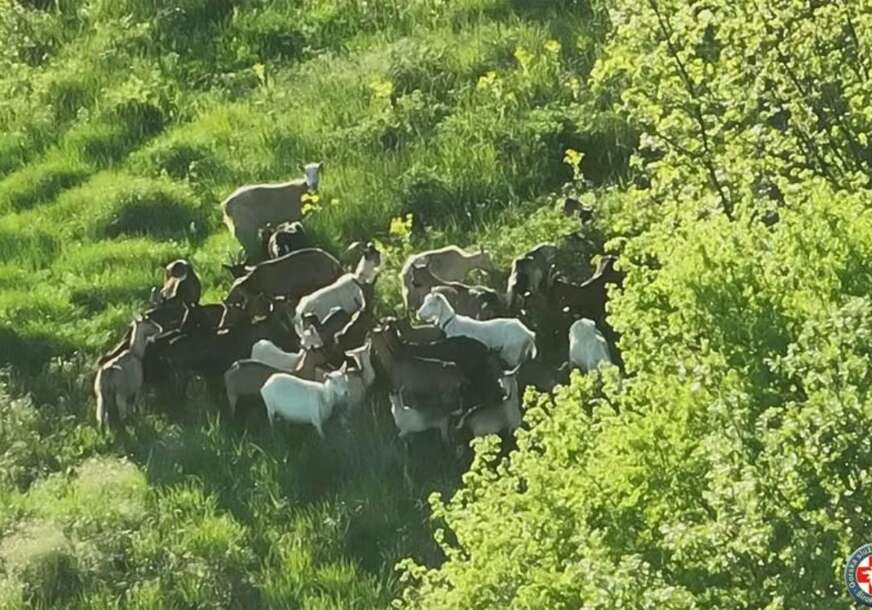 (FOTO) "Zaigrana ekipa uspješno vraćena" Pripadnici gorske službe imali su NEOBIČNU akciju spasavanja, evo kako je protekla