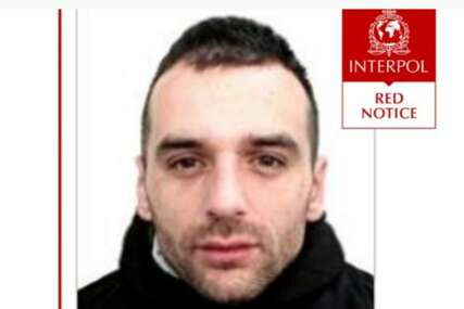 Nikola Drecun
