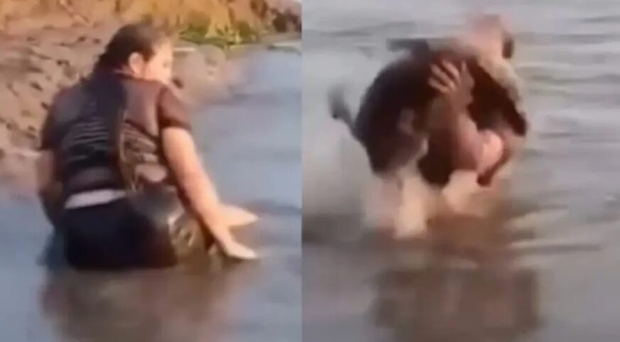 (VIDEO) UZNEMIRUJUĆI PRIZOR Djevojka mislila da je dohvatila granu u vodi, a onda je iskočila zvijer