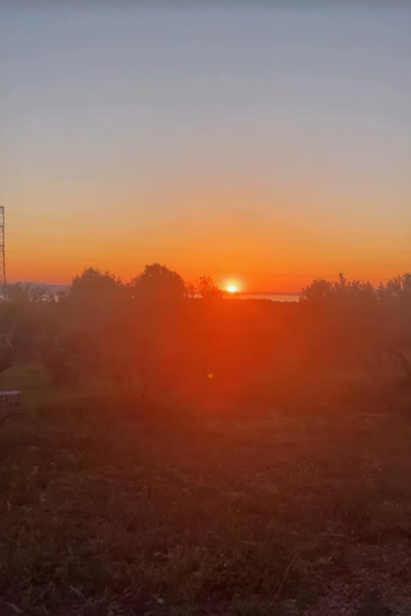 FOTO: DANIJELADVORNIK/INSTAGRAM/SCREENSHOT