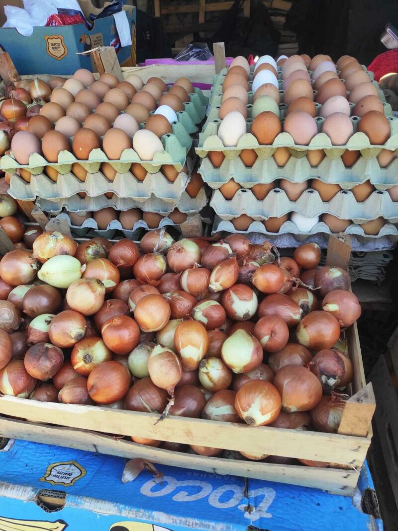 FOTO: MILKICA MILOJEVIĆ/RINGIER