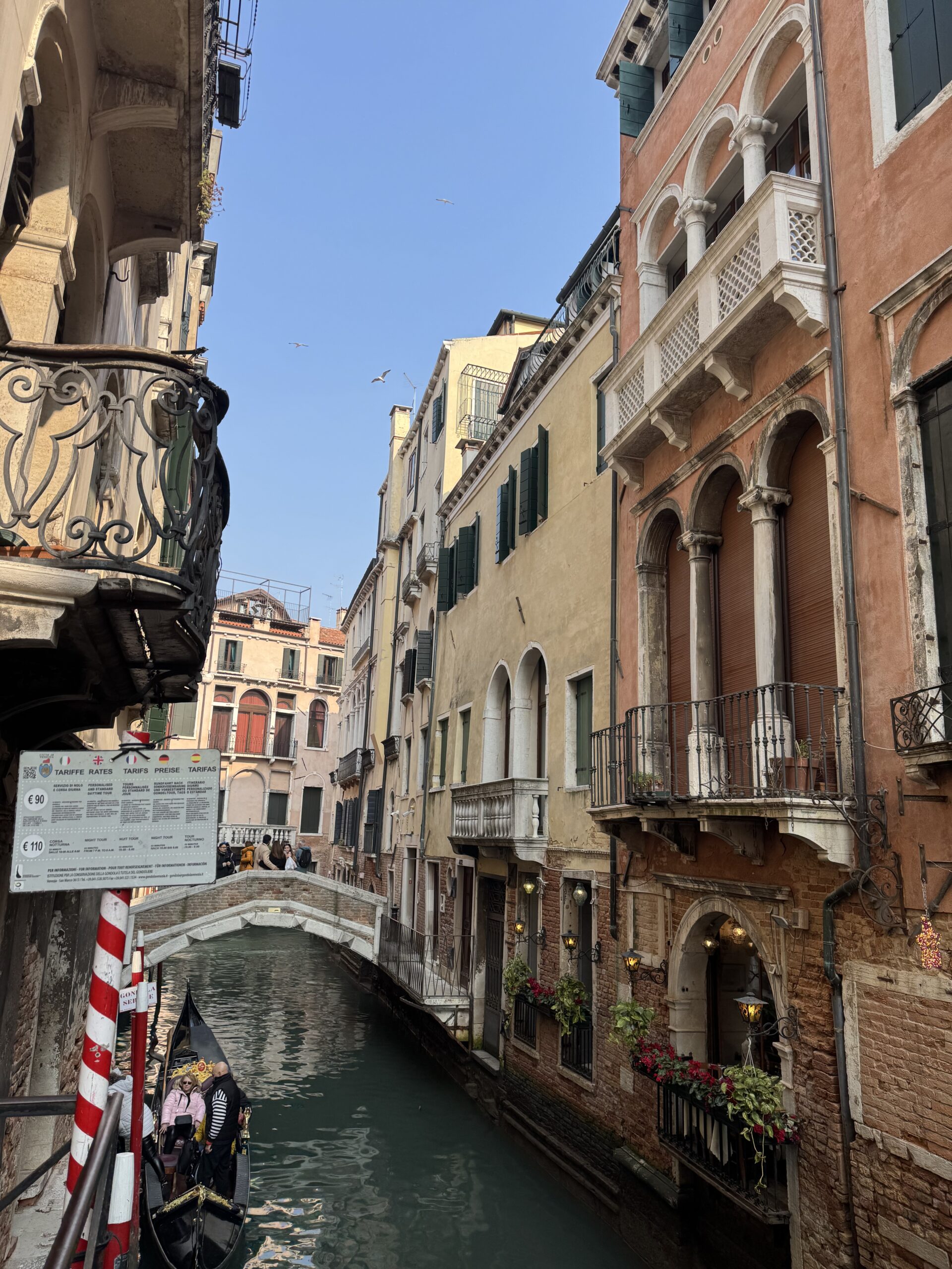 FOTO:  SANJA JOVIĆ/RINGIER