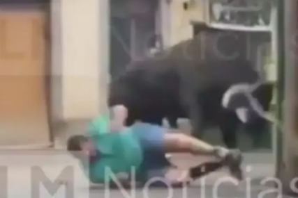 (UZNEMIRUJUĆI VIDEO) Bik ubio čovjeka nasred ulice: Ljudi pokušali da ga spriječe, ali nije bilo spasa