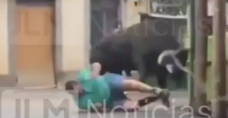 (UZNEMIRUJUĆI VIDEO) Bik ubio čovjeka nasred ulice: Ljudi pokušali da ga spriječe, ali nije bilo spasa