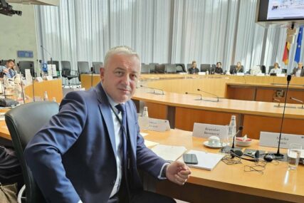 (FOTO) "To je ozbiljan korak unazad" Borenović o povlačenju zakona o Visokom sudskom i tužilačkom savjetu BiH