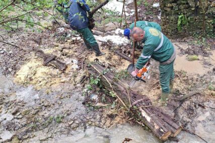 (FOTO) Banjaluka nakon obilnih padavina: Uklanjanje stabala iz potoka i rijeka