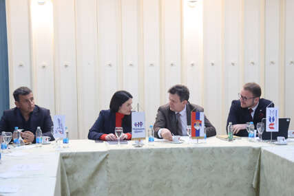nebojša vukanović , jelena trivić , branko blanuša i draško stanivuković