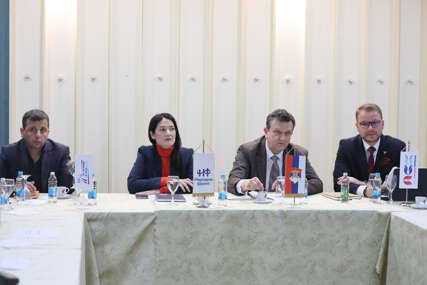 nebojša vukanović , jelena trivić , branko blanuša i draško stanivuković