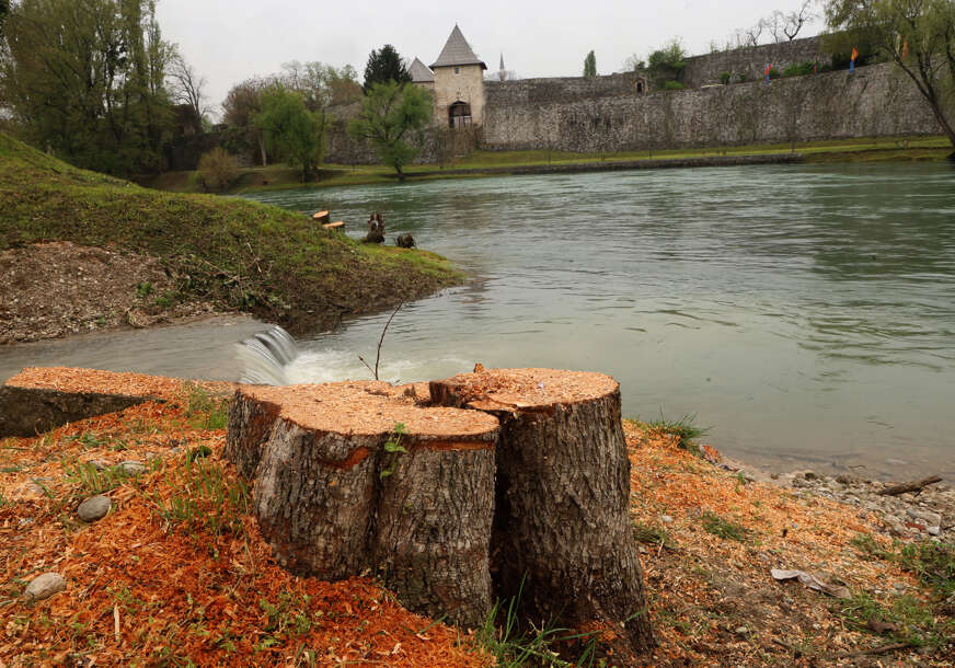 posječeno drveće preko puta kastela 