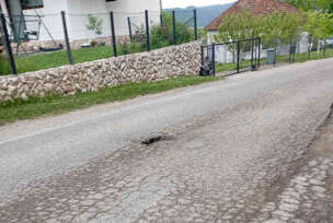 FOTO: USTUPLJENA FOTOGRAFIJA