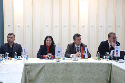 SEDMICA ODLUKE Opozicija sprema IZBORNU PLATFORMU, Vukanović traži podršku Blanuši