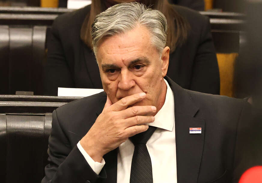 siniša karan 