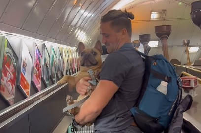 (VIDEO) "Radio sam od jutra do večeri" Stolar dao otkaz jer njegov pas zarađuje više od njega