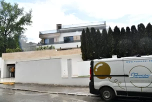 Vila od Harisa Džinovića