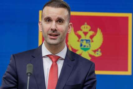milojko spajić