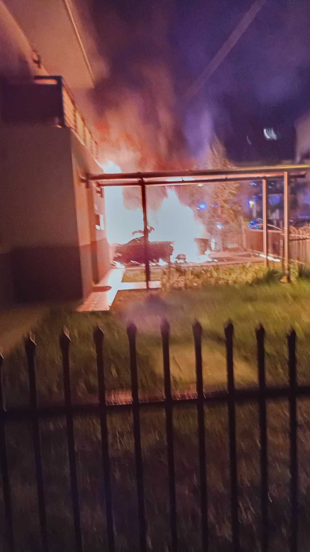 FOTO: USTUPLJENA FOTOGRAFIJA 