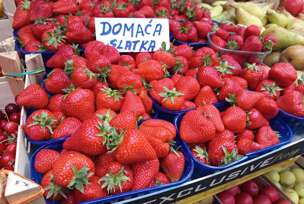 FOTO: ŽELJKA KNEŽEVIĆ/RINGIER