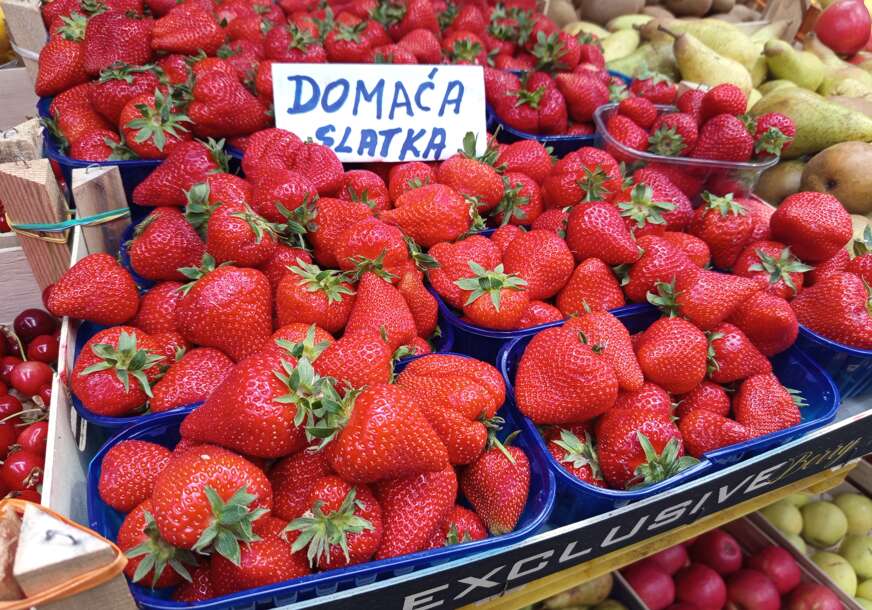 FOTO: ŽELJKA KNEŽEVIĆ/RINGIER