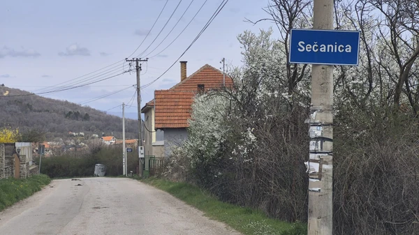 FOTO: BRANKO JANAČKOVIĆ/RINGIER