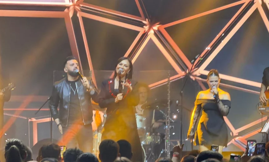 "ŠTA JE, BRE, OVO?" Ceca prekinula koncert, zbog poruke iz publike ostala u šoku