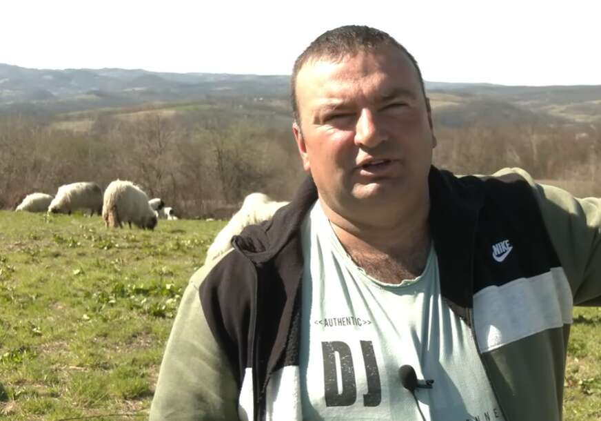 dragan vukelić
