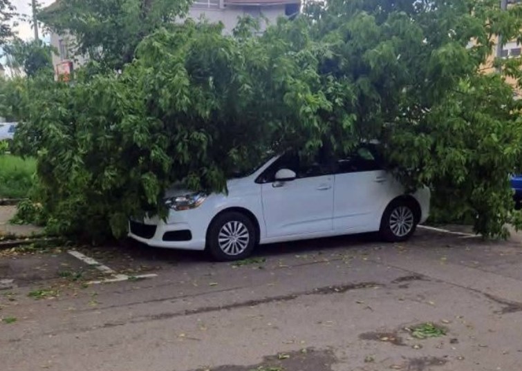 auto, vjetar
