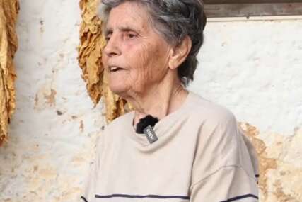 hercegovka ljuba
