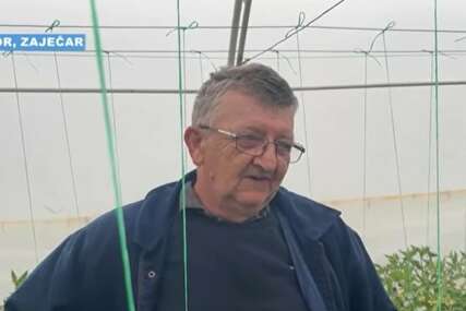 jordan zaječar
