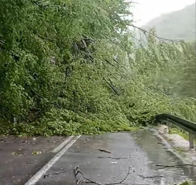(FOTO) Upozorenje vozačima: Put Bihać - Bosanska Krupa ZATVOREN, ovo je razlog