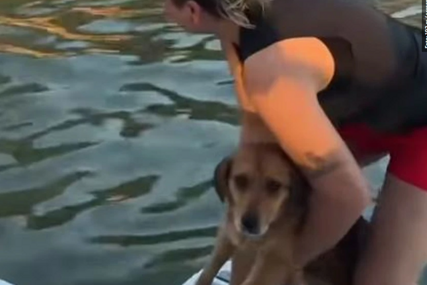 (VIDEO) HUMANOST NA DJELU Pas pao sa Brankovog mosta u vodu, a zatim su dvije djevojke pokazale šta znači biti čovjek