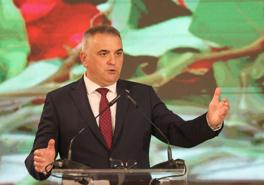 savo minić premijer rs