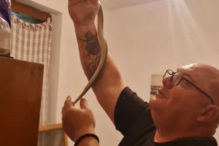 (VIDEO) Horor u porodičnoj kući: Čuveni zmijolovac iz ormana IZVUKAO ZMIJU