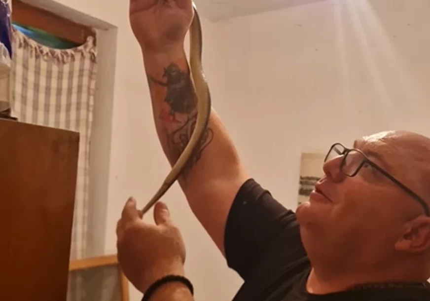 (VIDEO) Horor u porodičnoj kući: Čuveni zmijolovac iz ormana IZVUKAO ZMIJU