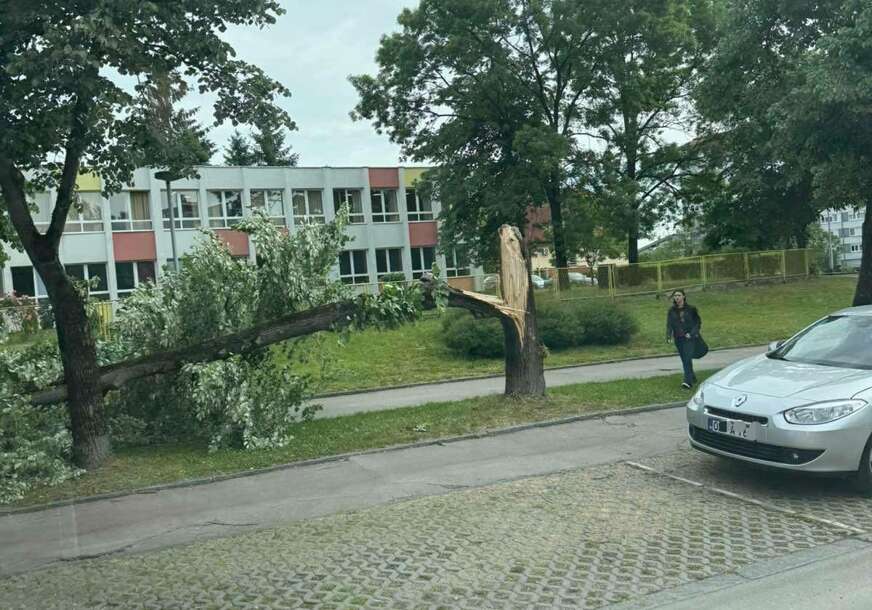 (FOTO) Vatrogasci odmah intervenisali: Palo DRVO u blizini osnovne škole u Banjaluci
