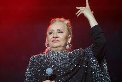 vesna zmijanac