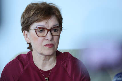 zora vidović ministar finansija rs
