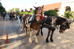 FOTO: SINIŠA PAŠALIĆ/RINGIER