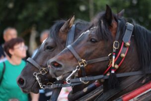 FOTO: SINIŠA PAŠALIĆ/RINGIER