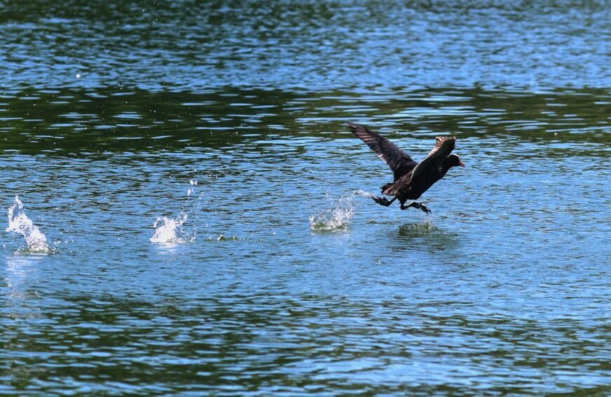 Sunčano i toplo širom Srpske i FBiH: Temperatura danas do 33 stepena, ponegdje moguća slaba kiša