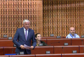 (VIDEO) Borenović u Savjetu Evrope o EES sistemu "Zamislite da po ovoj vrućini ČEKATE 5 SATI da bi prešli granicu sa Evropskom unijom"