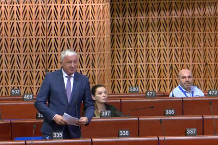 (VIDEO) Borenović u Savjetu Evrope o EES sistemu "Zamislite da po ovoj vrućini ČEKATE 5 SATI da bi prešli granicu sa Evropskom unijom"