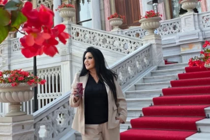 (FOTO) Lavovi, gala posluženje za goste i torta na dva sprata: Žurka u dvorcu Dragane Mirković, pjevačica podijelila sliku iz vile u Beču