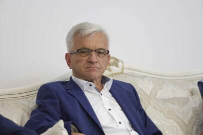 Nedeljko Čubrilović