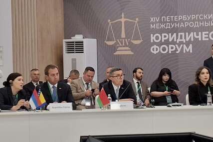 (FOTO) "Zakone mogu donositi samo demokratski izabrani parlamenti" Selak se obratio na Peterburškom međunarodnom pravnom forumu