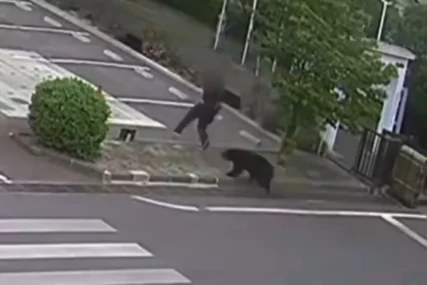 Panika u Japanu: U jednom gradu zatvoreno skoro 100 škola jer je na ulicama viđen medvjed