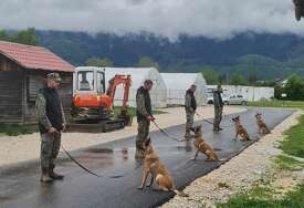 (FOTO) Korak bliže ZEMLJI BEZ MINA: Norvežani donirali nove pse Oružanim snagama BiH, od 2010. godine stiglo ih je čak 35