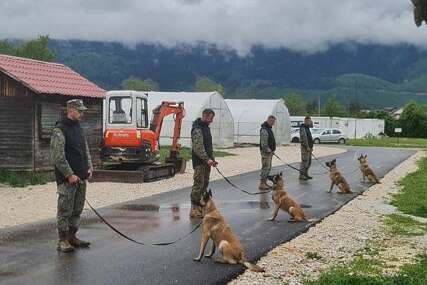 (FOTO) Korak bliže ZEMLJI BEZ MINA: Norvežani donirali nove pse Oružanim snagama BiH, od 2010. godine stiglo ih je čak 35