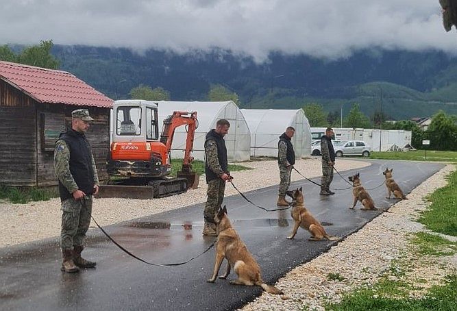 (FOTO) Korak bliže ZEMLJI BEZ MINA: Norvežani donirali nove pse Oružanim snagama BiH, od 2010. godine stiglo ih je čak 35