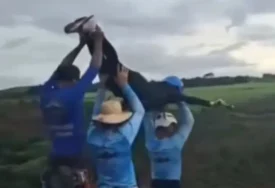 (VIDEO) UŽAS U BRAZILU Poginula studentkinja, vodiči je bacili sa 40 metara visine bez sigurnosne opreme