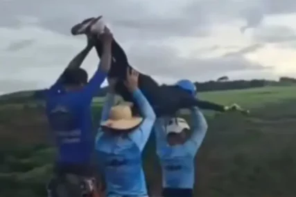 (VIDEO) UŽAS U BRAZILU Poginula studentkinja, vodiči je bacili sa 40 metara visine bez sigurnosne opreme